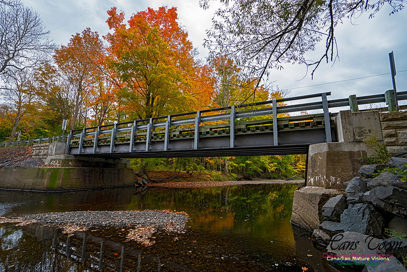 Fall Colours and Reflections 131