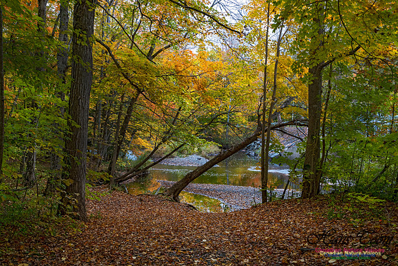 Fall Colours and Reflections 133