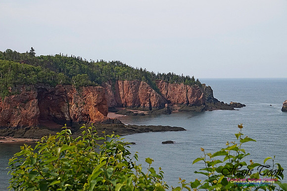Anderson's Cove 105