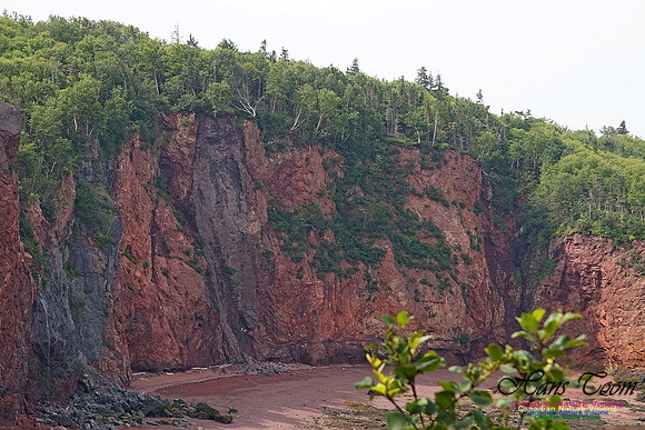 Anderson's Cove 103