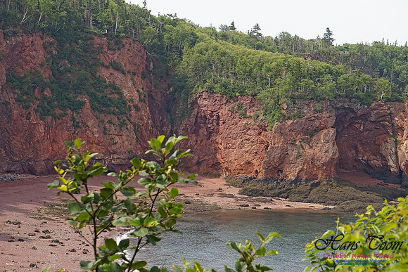 Anderson's Cove 102