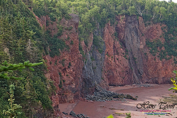 Anderson's Cove 104