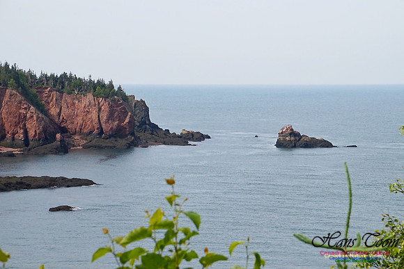 Anderson's Cove 101