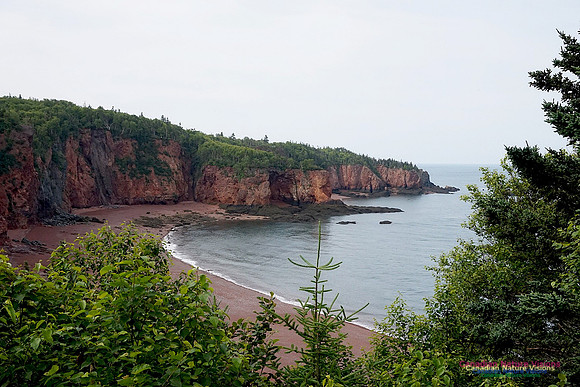 Andersonès Cove 100