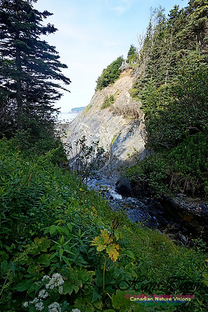 Fundy Ridge Trail 107