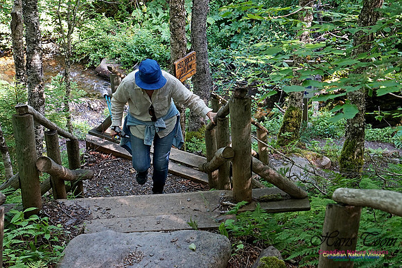 Fundy Ridge Trail 112