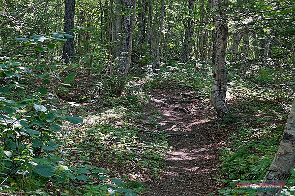 Fundy Ridge Trail 122