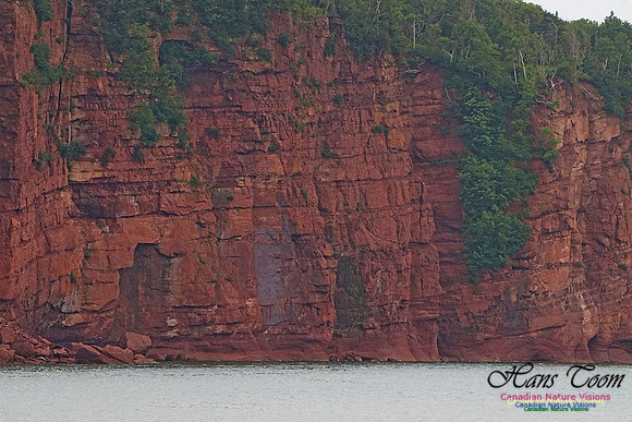 Fundy Bluffs 210