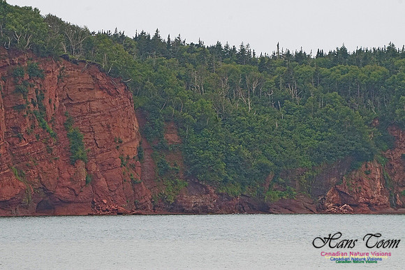 Fundy Bluffs 211
