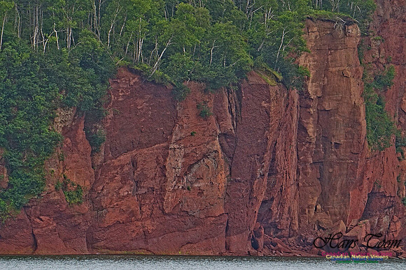 Fundy Bluffs 212