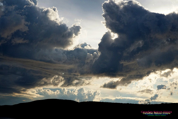 Active Clouds 235