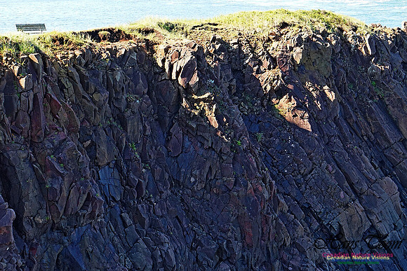 Cape d'Or Coastal Cliff 231