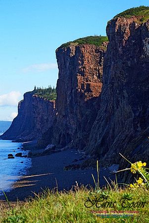 Cape d'Or Coastal Cliff 233