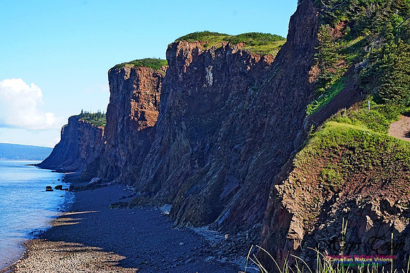 Cape d'Or Coastal Cliff 236