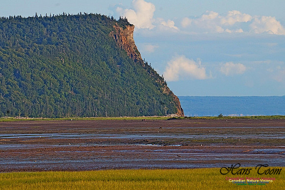 Cape d'Or 2401