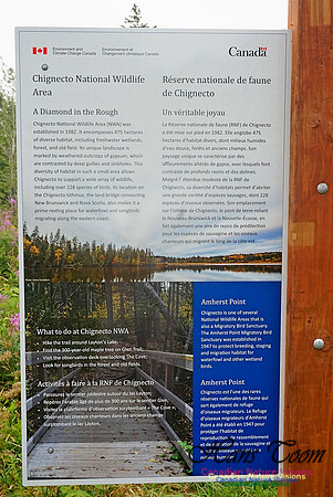 Chignecto National Wildlife Area 2701