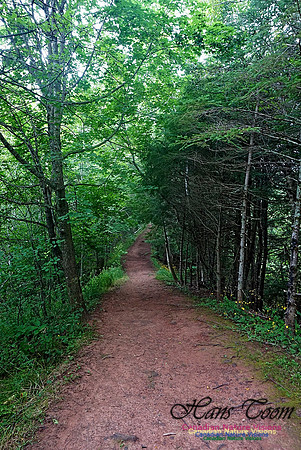 Chignecto National Wildlife Area 2702