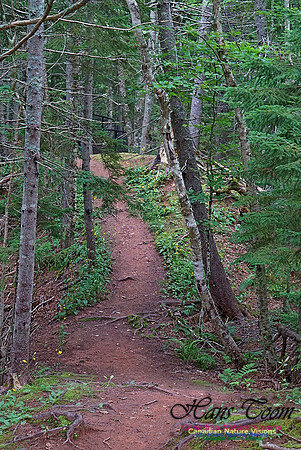 Chignecto National Wildlife Area 2704