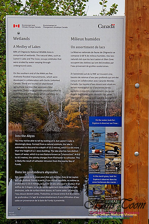 Chignecto National Wildlife Area 2718