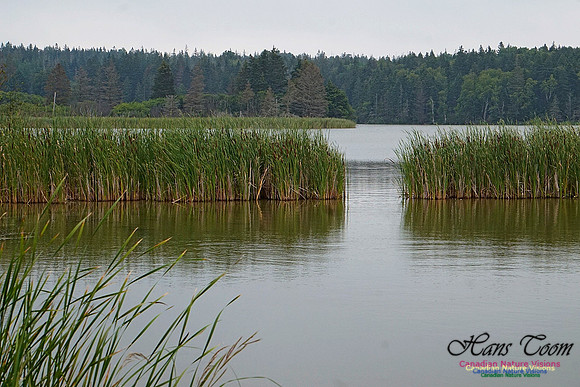 Chignecto National Wildlife Area 2719