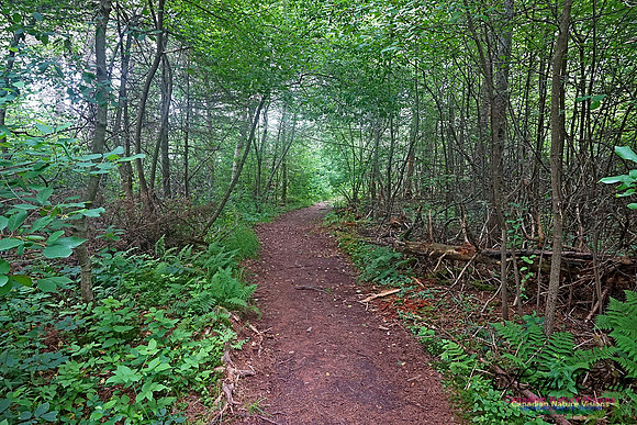 Chignecto National Wildlife Area 2722