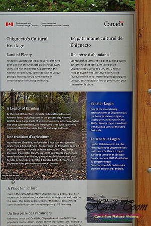 Chignecto National Wildlife Area 2751