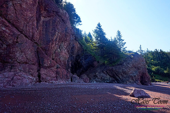Anerson's Cove Hike 2935