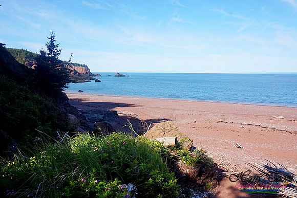 Anerson's Cove Hike 2903