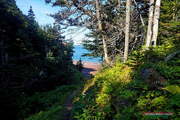 Anerson's Cove Hike 2902