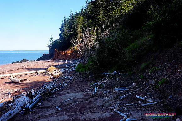 Anerson's Cove Hike 2904