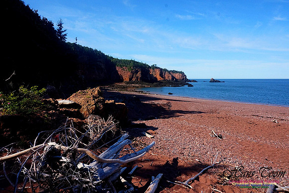 Anerson's Cove Hike 2905