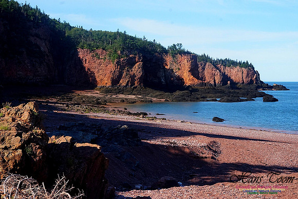 Anerson's Cove Hike 2907