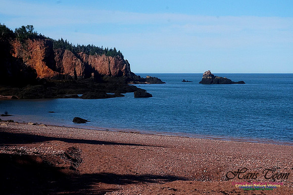 Anerson's Cove Hike 2908