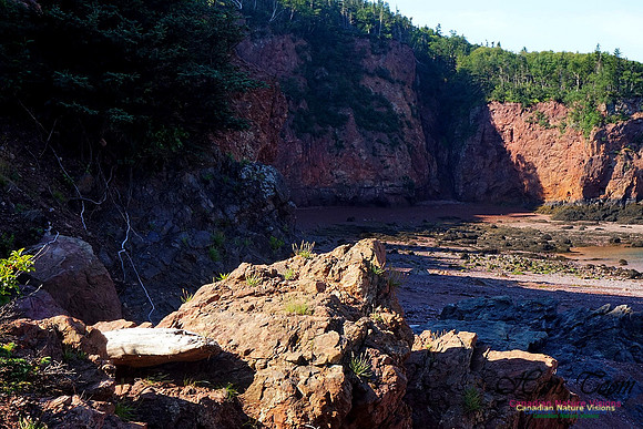 Anerson's Cove Hike 2909