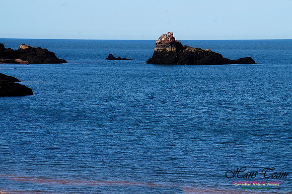 Anerson's Cove Hike 2910
