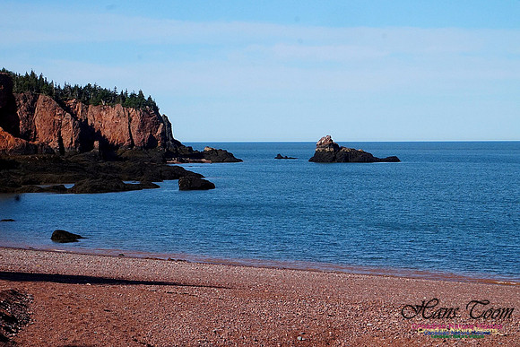 Anerson's Cove Hike 2911