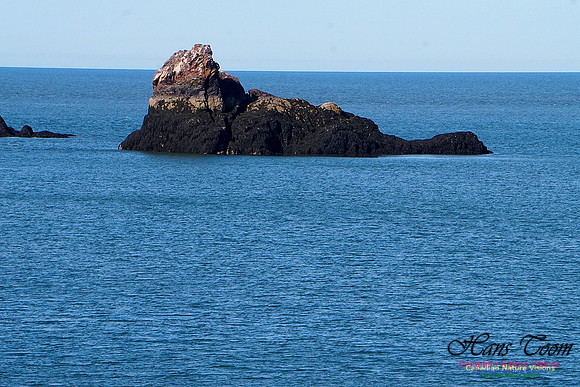 Anerson's Cove Hike 2912