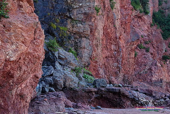 Anerson's Cove Hike 2913