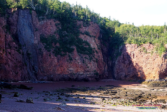 Anerson's Cove Hike 2915
