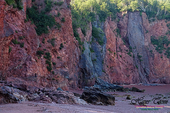 Anerson's Cove Hike 2914
