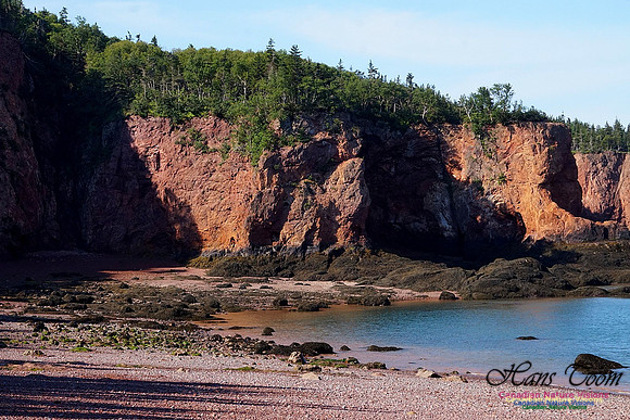 Anerson's Cove Hike 2916