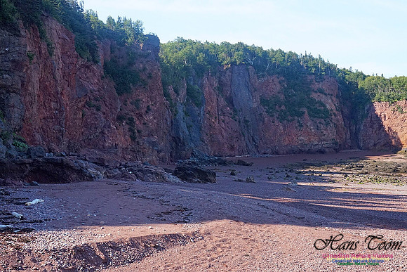 Anerson's Cove Hike 2919