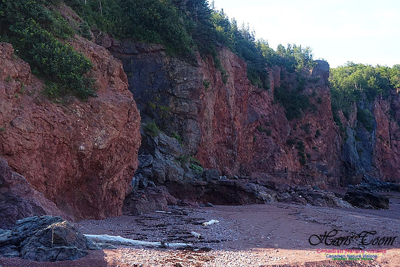 Anerson's Cove Hike 2920