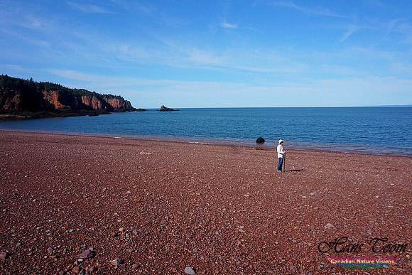 Anerson's Cove Hike 2924