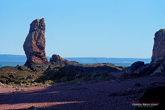 Anerson's Cove Hike 2927