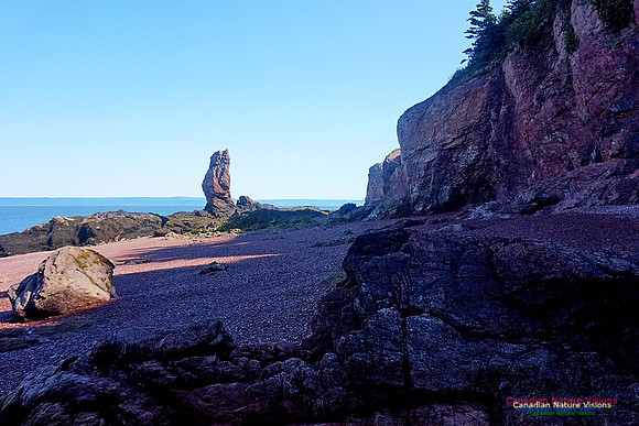 Anerson's Cove Hike 2928