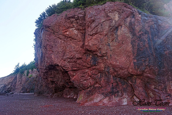 Anerson's Cove Hike 2926
