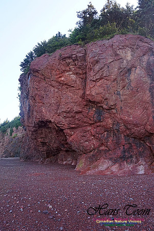 Anerson's Cove Hike 2925