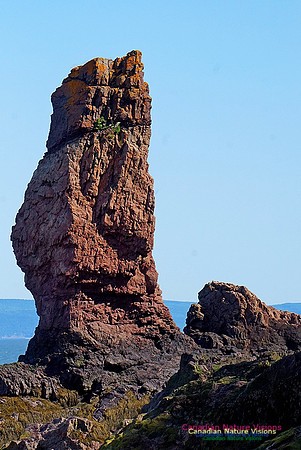 Anerson's Cove Hike 2930