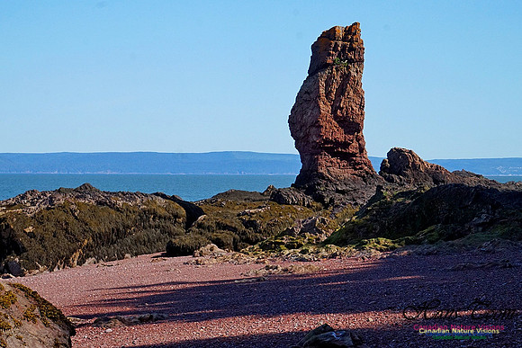 Anerson's Cove Hike 2929